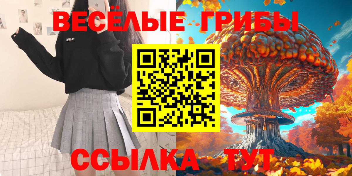 Карасук  Псилоцибиновые грибы MAGIC MUSHROOMS  Вход с VPN 
