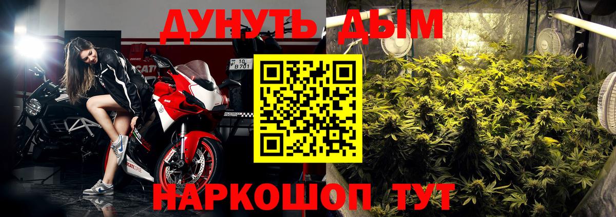 Шишки марихуана сатива Карасук